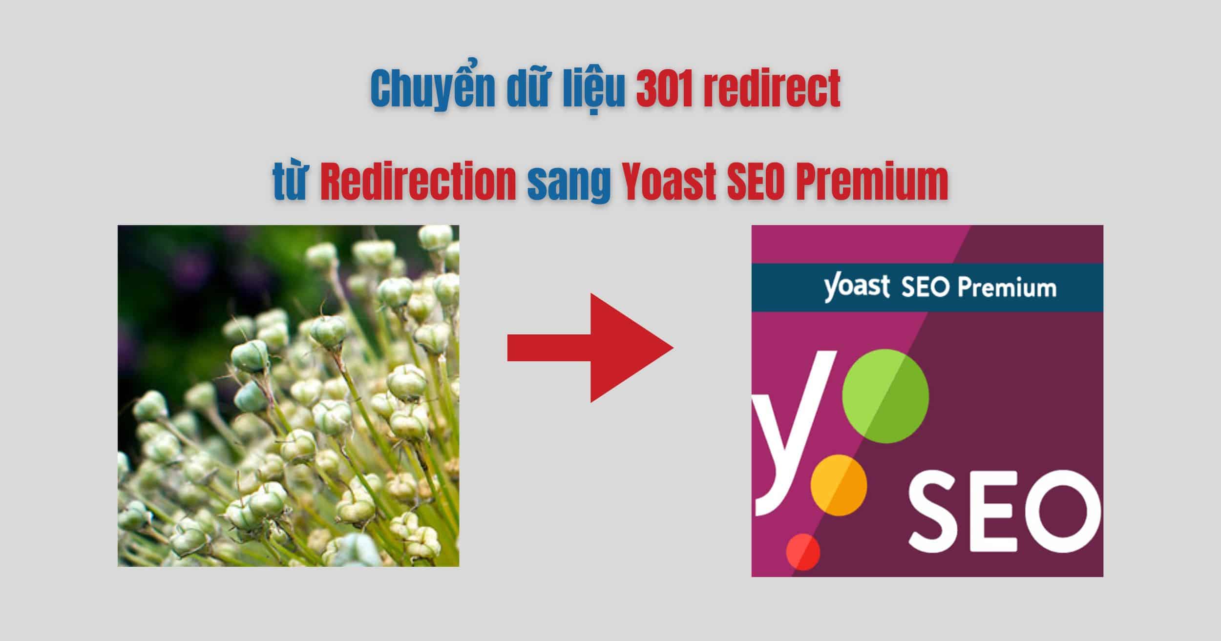 Chuyển dữ liệu 301 redirect từ Redirection sang Yoast SEO Premium