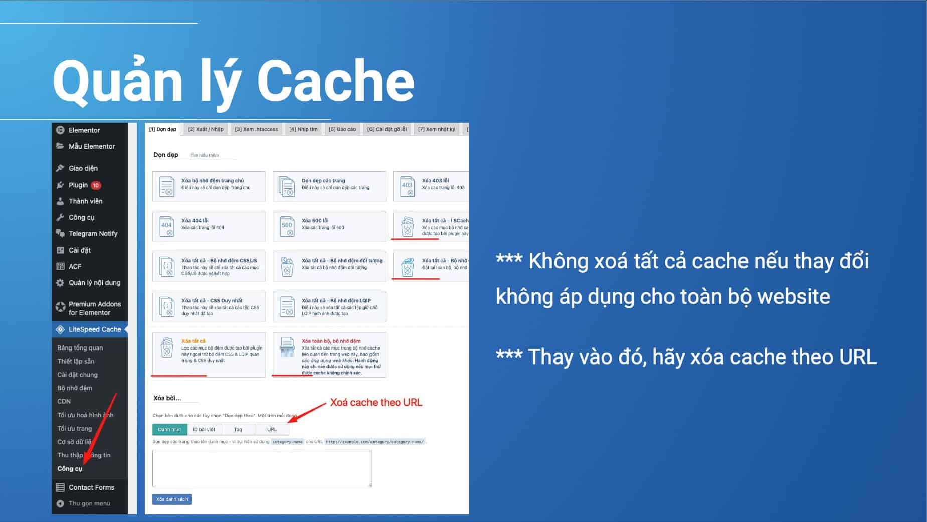 Quản lý Cache