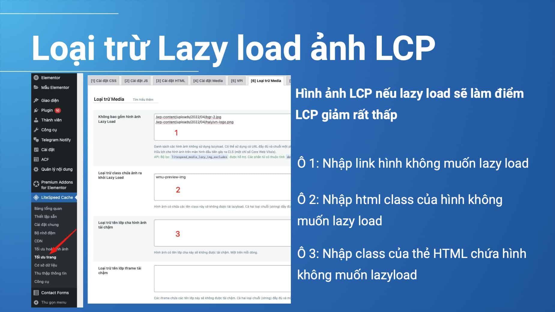 loại trừ các hình ảnh LCP khỏi Lazy Load