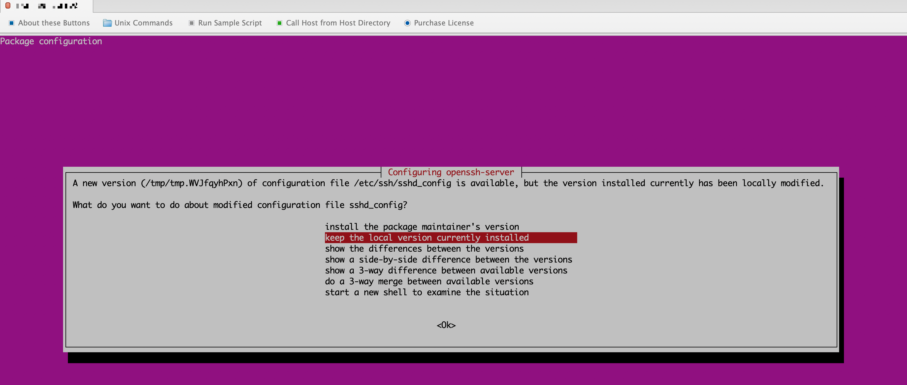 Hướng dẫn nâng cấp Ubuntu 22.04 lên 24.04 LTS chọn keep the local version currently installed