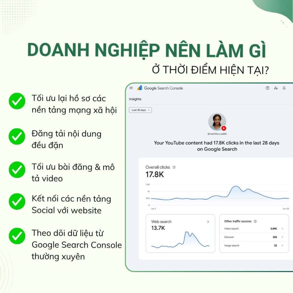 Platform Properties trong Google Search Console: Theo Dõi Traffic Mạng Xã Hội Doanh nghiệp và Creator nên làm gì ở thời điểm hiện tại